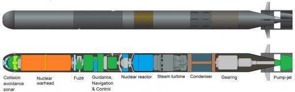 俄被指测试可载千万吨当量核弹核鱼雷 或卖中国