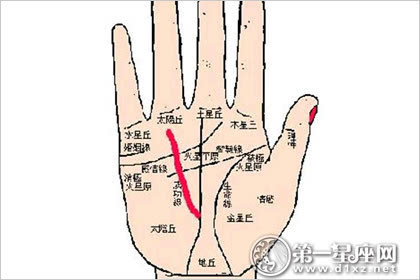 如果是手掌的颜色暗黄且粗躁,比较辛苦.