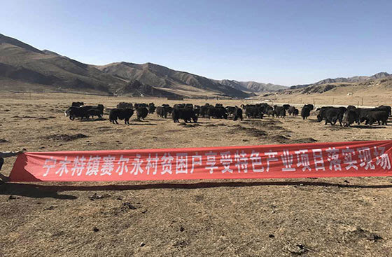 河南县宁特镇有多少人口_河南各县人口排行榜