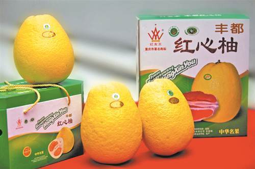 丰都经济总量_丰都鬼城图片