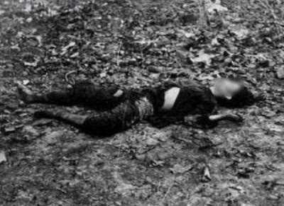 老兵爆料越南战场女兵尸体竟这么用 看后震惊