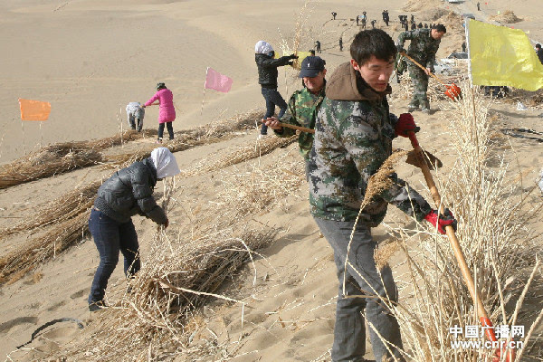 且末县有多少人口_且末县党委书记徐凯带头接受人口普查登记