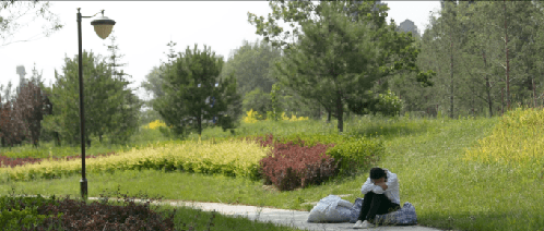 148275489394587983.PNG