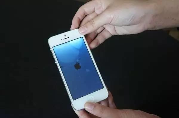 148281029587667667.JPEG
