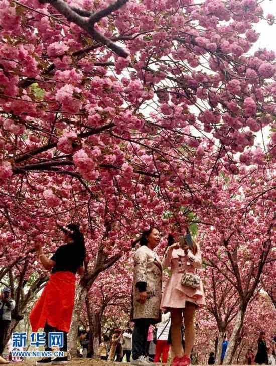 四季美丽中国 春