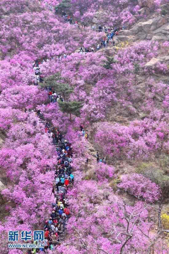 四季美丽中国 春