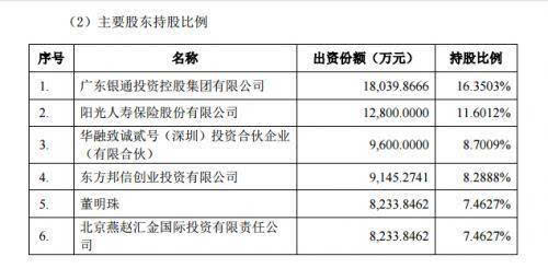 珠海银隆股权结构曝光:董明珠持股7.5%,京东2%