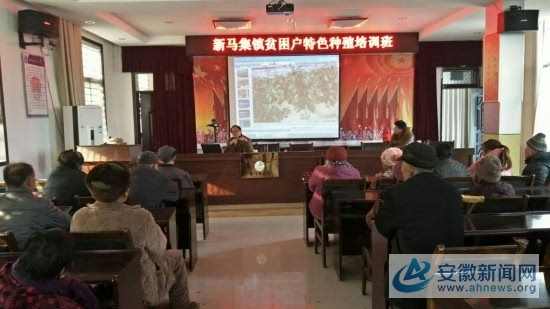界首市新马集镇:特色种养殖培训助力脱贫攻坚