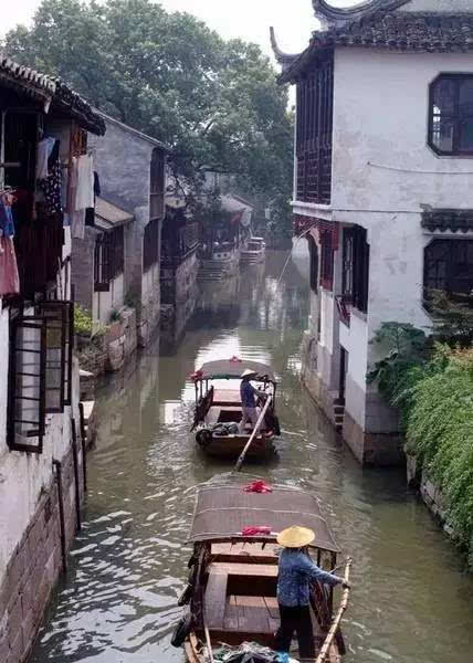 太仓多少人口_太仓犬(3)