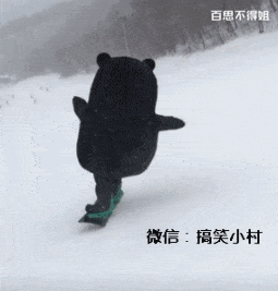 活捉一只雪地飞奔的野生熊本熊,帅萌帅萌的