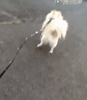 反套路,从来没人敢跟我比&精选暴漫