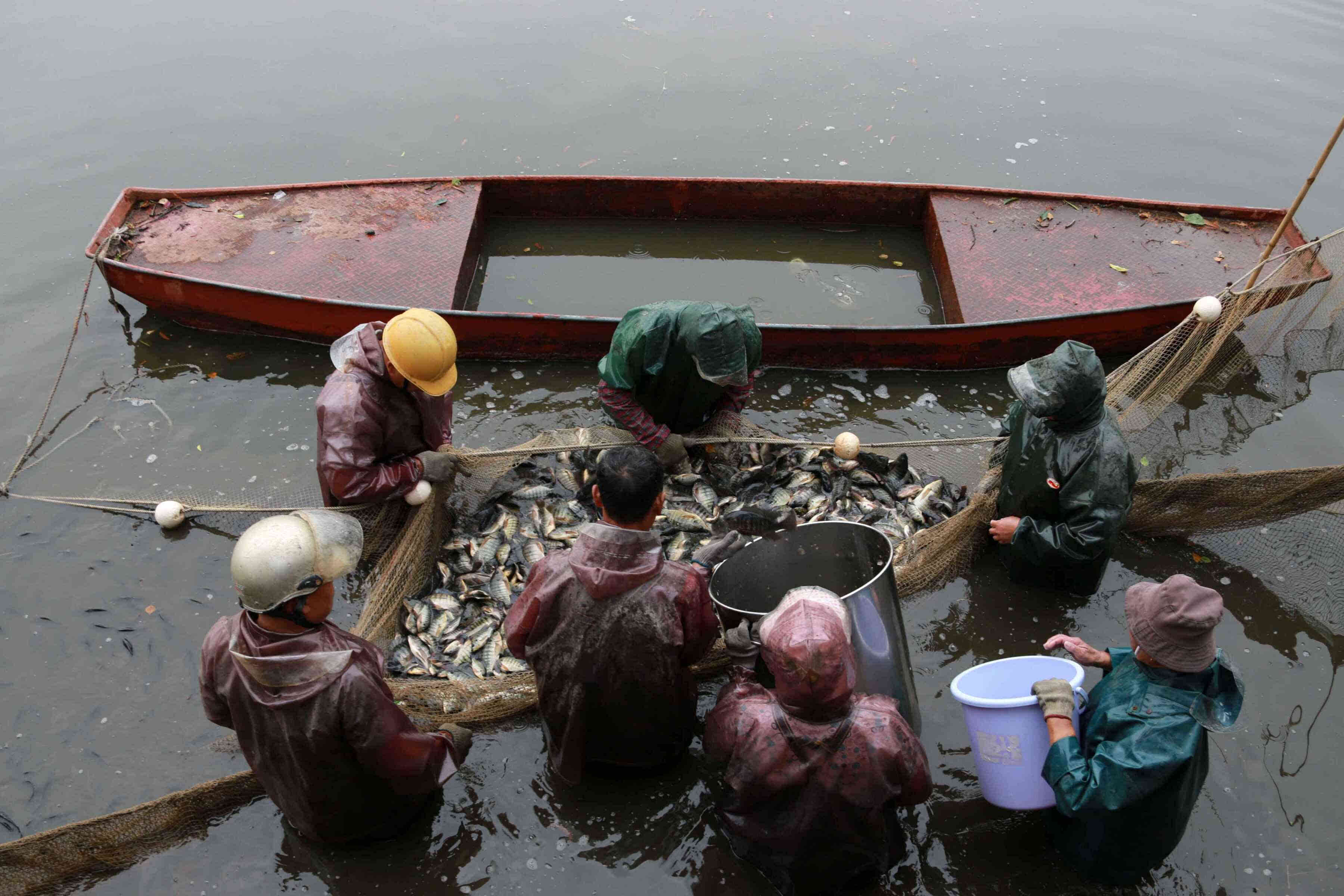 口水溢出屏幕!华工发鱼刷爆朋友圈,但大家却惦