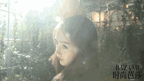angelababy的小王子!集万千宠爱的小海绵出生啦