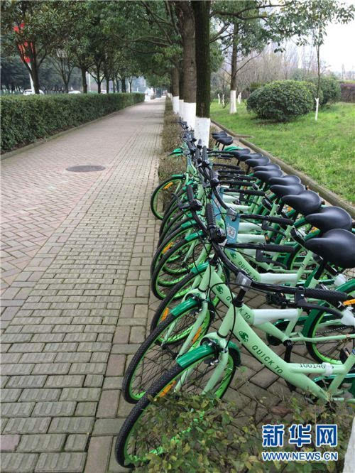 搜狐公众平台 - 绿色出行快兔共享单车登陆贵阳