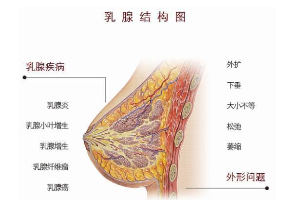 预防乳腺癌的方法有哪些呢