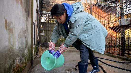 上海动物园女饲养员:这个春节我和美洲豹在一起