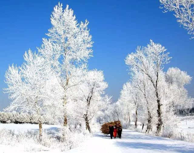 中国最佳旅行美景地,让你看到中国最美的春夏秋冬!