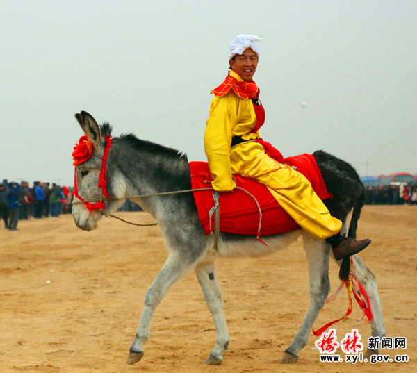 倒骑毛驴