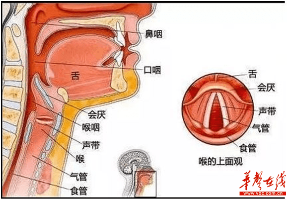 长沙四旬壮汉得急性会厌炎 误以为是"感冒"致呼吸困难