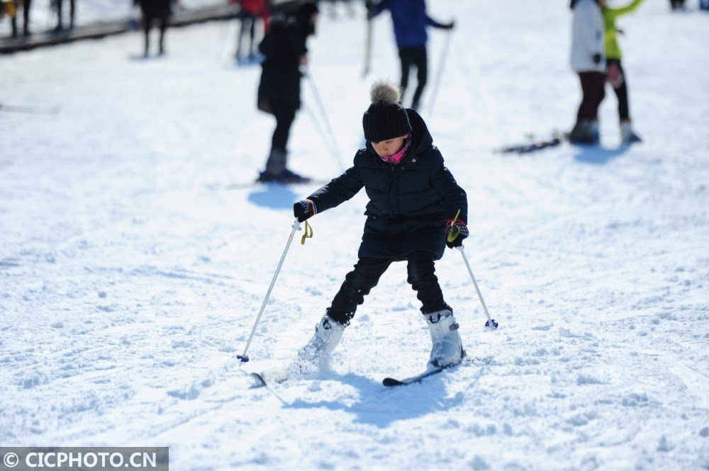 滑雪场里享雪趣