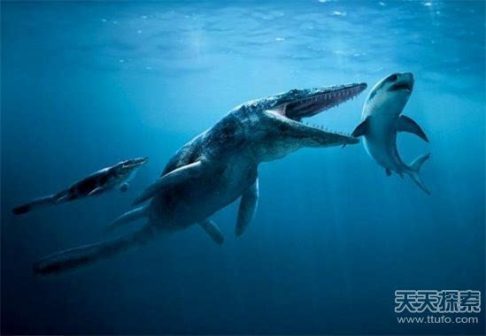 沧龙 鲨齿龙 生活于10000万到9300万年前的白垩纪中期到白垩纪晚期.