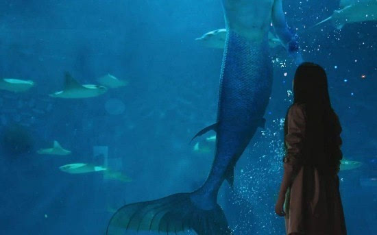 《那片星空那片海》最新剧情:沈螺知晓吴居蓝人鱼身份 感情将如何发展