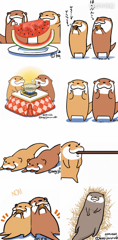 390_790竖版 竖屏gif 动态图 动图