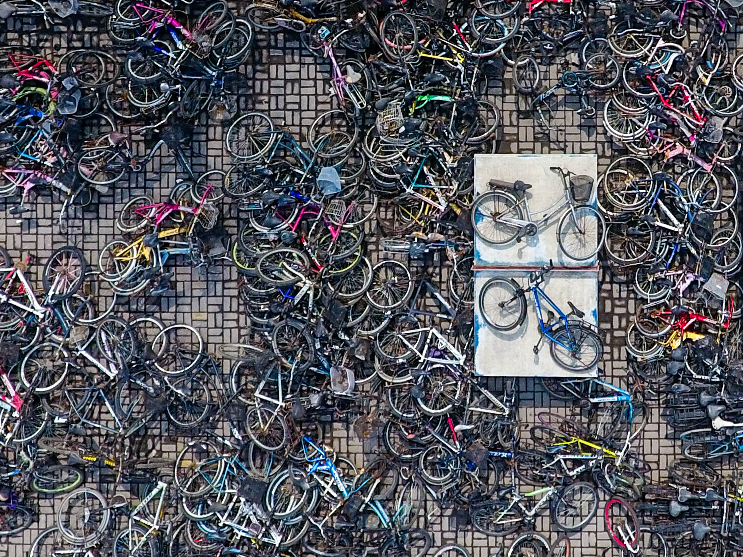 搜狐公众平台 - 郑州一高校清理千余辆废旧自行车