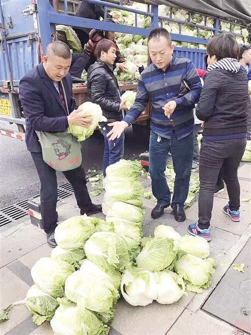 横县大白菜滞销 南宁市民加入购买爱心大白菜行列