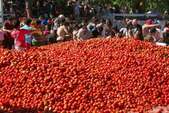 智利“番茄大战”:3小时用掉百吨西红柿