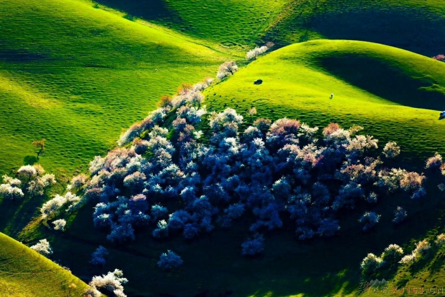 人间仙境，伊犁杏花沟