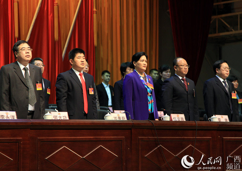 广西凌云县第十二届人民代表大会第二次会议开幕