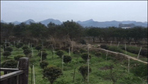 同时,电子商务走进农村, 也让不少山区务农者转型为新型农民,他们能够