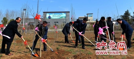 汝州市小屯镇对958名先进人物进行表彰