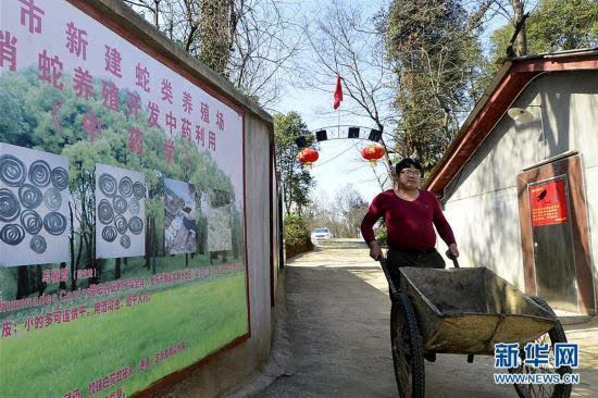 农村闲散劳动力人口多少_农村房子图片