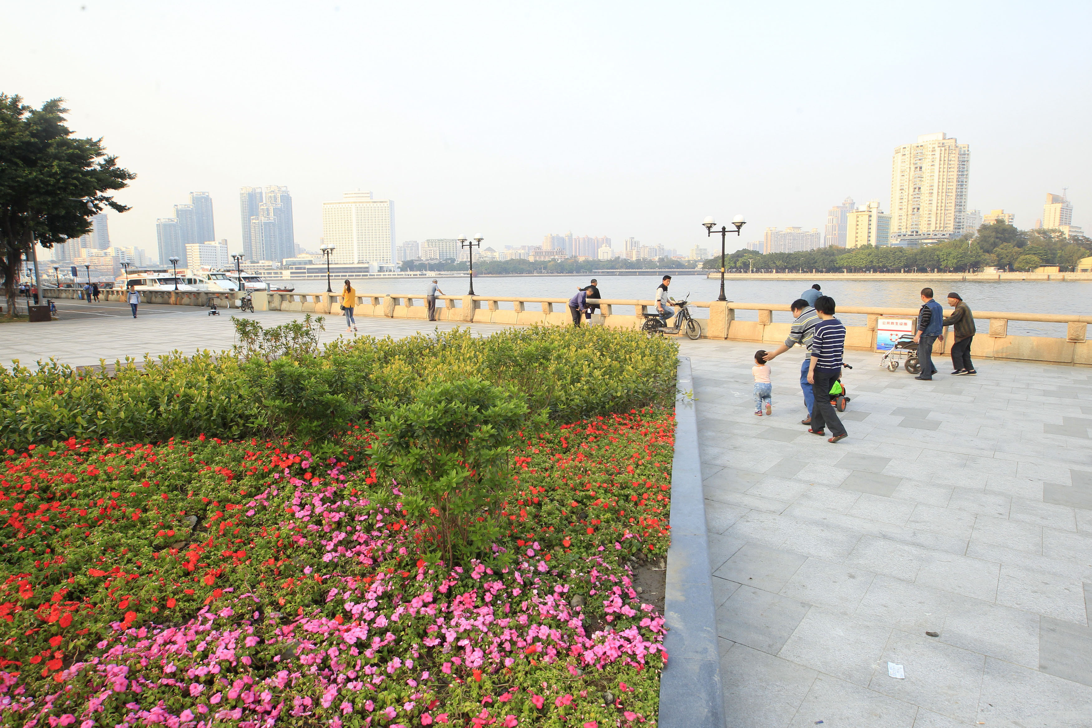 多个沿江广场亮相白鹅潭 百年芳村长堤街改造变身现代艺术街区
