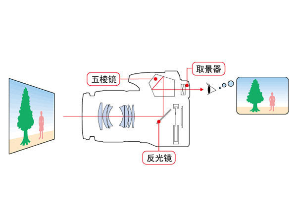 什么是光照原理_巴尔斯特光照是什么(2)