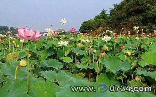 醉美雨母山魅力绿道