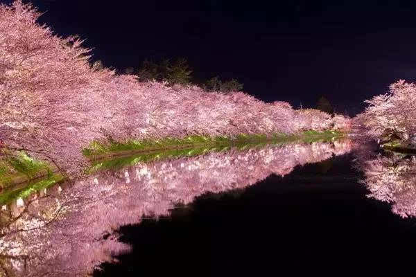 日本最全赏樱花地图来了,3月份走起吧!