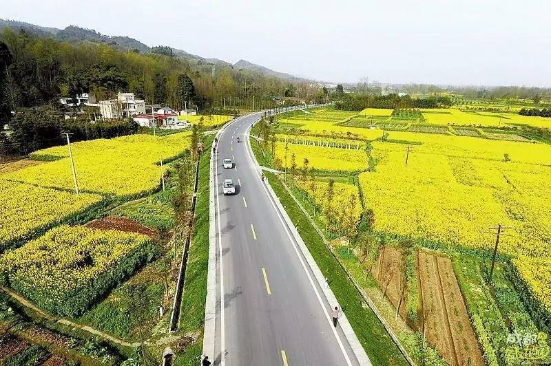 最美乡村公路·重庆路