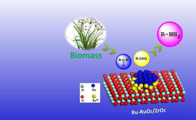 大连化物所生物质催化转化研究取得新进展