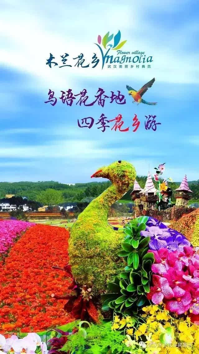 2017湖北乡村赏花游活动暨木兰花乡景区开园活动启动仪式