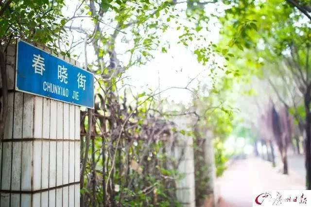 图为二沙岛春晓街路牌 广州日报全媒体记者陈忧子 摄