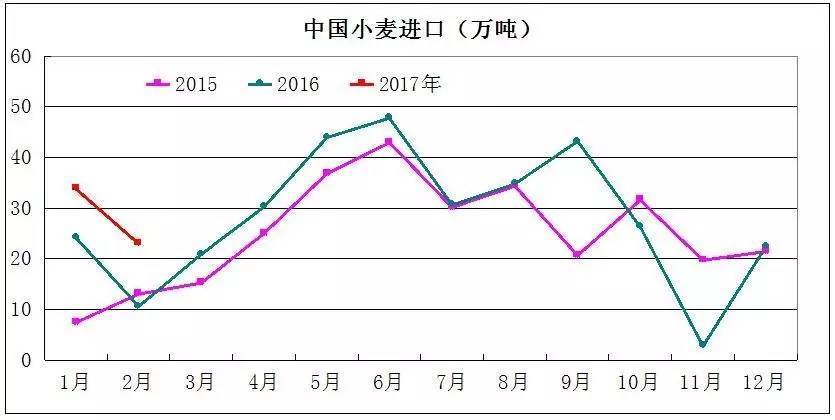 中国2月小麦玉米大米进口量剧增 大批玉米替代品在路上