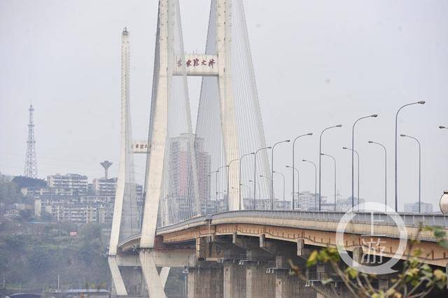 全桥换索李家沱大桥现状  (本组图片除署名外均为重庆市桥梁协会供图)