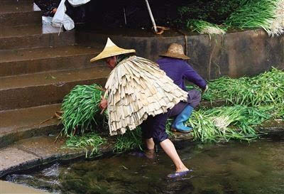 烟雨蓑衣海南笠