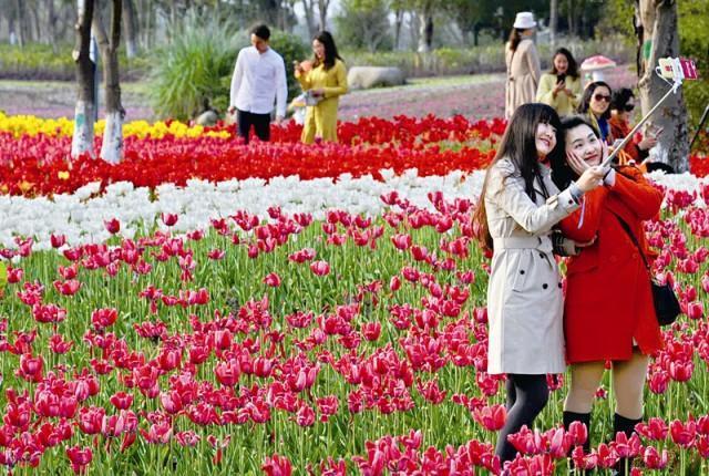 4月2日,城北现代农业生态走廊"十里花海"赏花活动拉开帷幕.