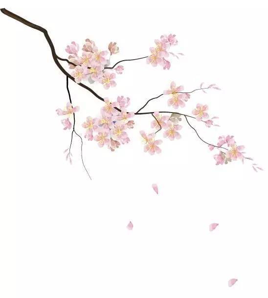 期货收评第103期:螺纹钢进入标准下降趋势