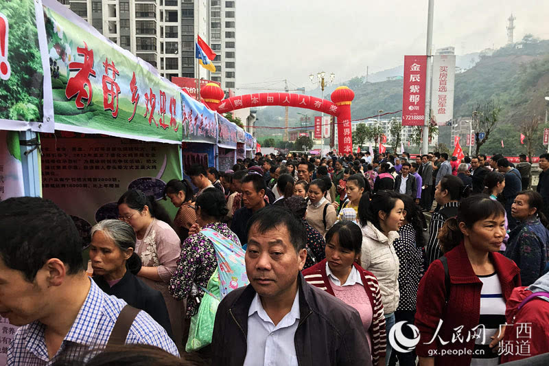 "美食美味 乐在田林 田林县举办特色美食展销会_手机搜狐网