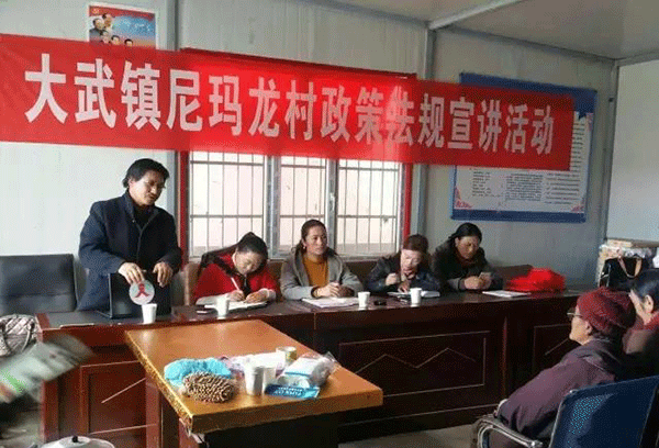 镇工青妇,医保等岗位的工作人员于4月12日开展了尼玛龙村政策法规宣讲